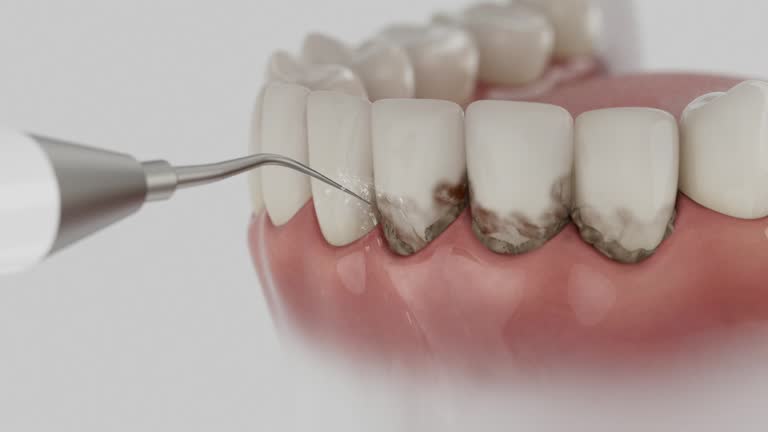 Reliable Dental contractor in Pottsville, PA by Dentist Open Now